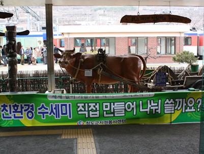 (2010.02.12)환경수세미 청도역 나눠주기
