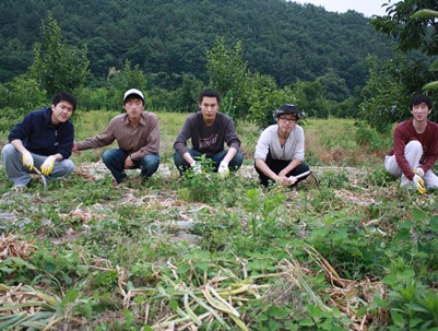 (2010.06.18)농촌일손돕기-8개단체 120명