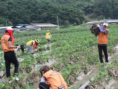 (2011.08.17)전북 정읍시 수해복구