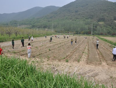 (2012.05.25)창원대학교 총학생회 우박피해 양파농가 지원