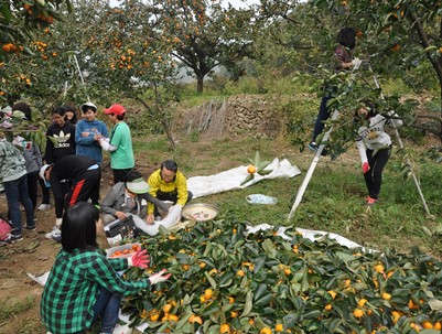 (2012.10.20) 농촌일손돕기-대구지산중