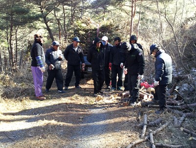 (2013.01.26)청도군청 환경노동조합 땔감봉사