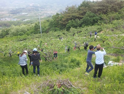 (2013.05.18)농촌일손돕기-수성구청소년수련관