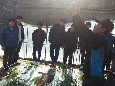 (2014.11.22)순심중학교 농촌일손돕기(매전면 내리)