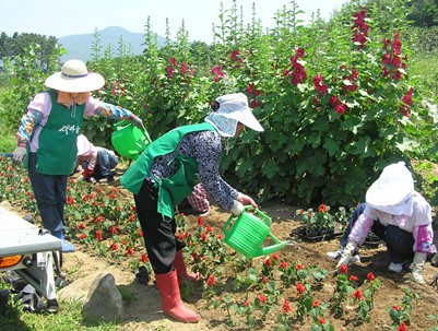 (2008.06.10)새마을 꽃길심기