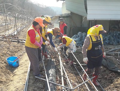 (2018.03.14)영천시 폭설피해 복구