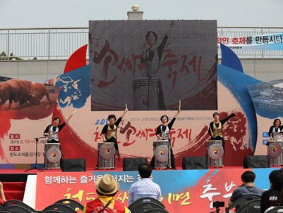 (2019.05.16~19)2019 소싸움축제 자원봉사활동