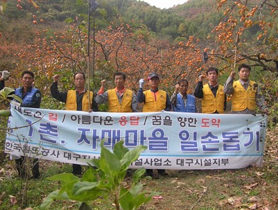 (2008.10.29)성암봉사단 매전감따기봉사