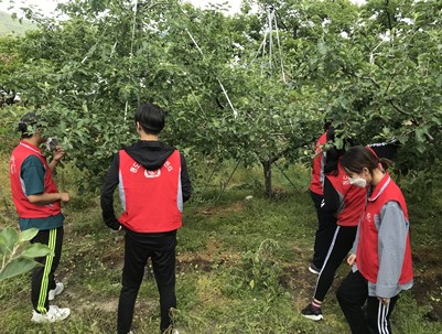 (2020.05.28)농촌일손돕기