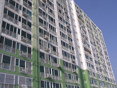 (2009.03.01)새마을봉사단 태극기달기운동