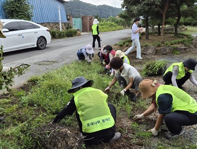 (2025.09.08)꽃과나무 봉사단- 2025년 청도군 자원봉사 우수프로그램 공모사업 선정 '꽃과 함께 아름다운 세상만들기'